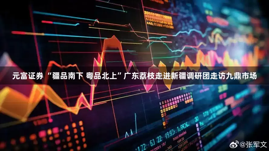 元富证券 “疆品南下 粤品北上”广东荔枝走进新疆调研团走访九鼎市场
