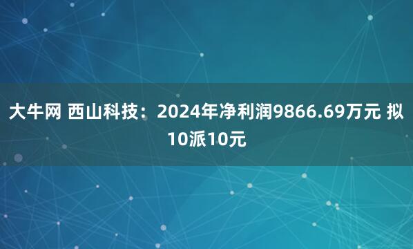 大牛网 西山科技：2024年净利润9866.69万元 拟10派10元