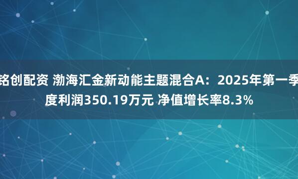 铭创配资 渤海汇金新动能主题混合A：2025年第一季度利润350.19万元 净值增长率8.3%