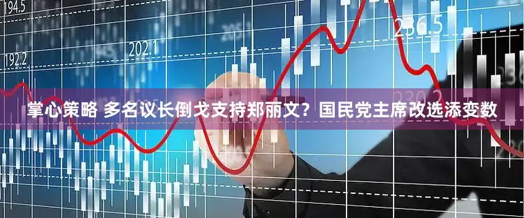掌心策略 多名议长倒戈支持郑丽文？国民党主席改选添变数